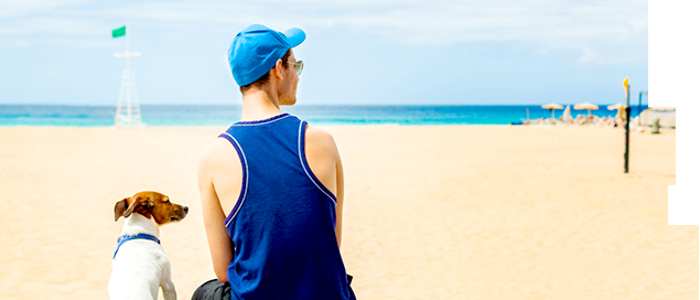 Haldemann Bürotechnik GmbH